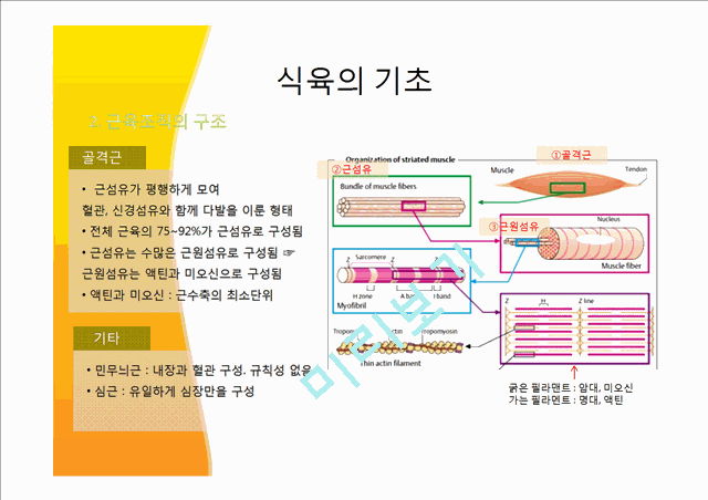 [사회과학] 식품가공 저장학 - 식육 및 식육가공.pptx